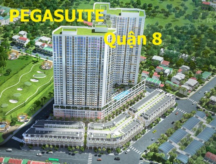 Đăng ký mạng wifi cho căn hộ chung cư The Pegasuite Tạ Quang Bửu Quận 8